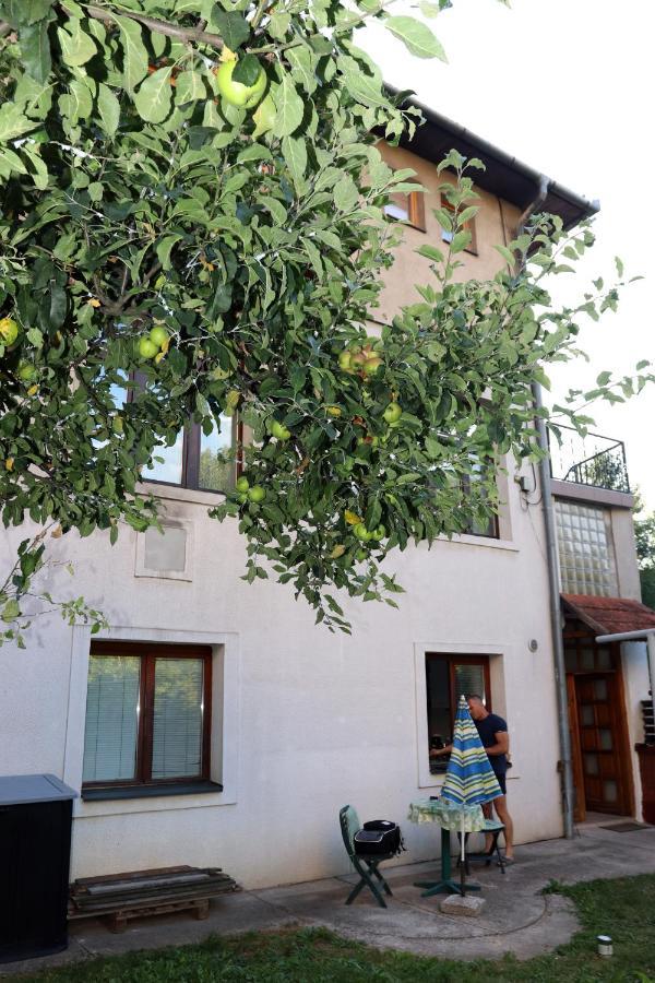 Vila Rijad Saraievo Exterior foto